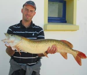 Brochet pêché dans l'étang