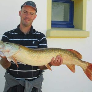 Brochet pêché dans l'étang