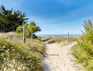 Les Dunes à St Jean de Monts