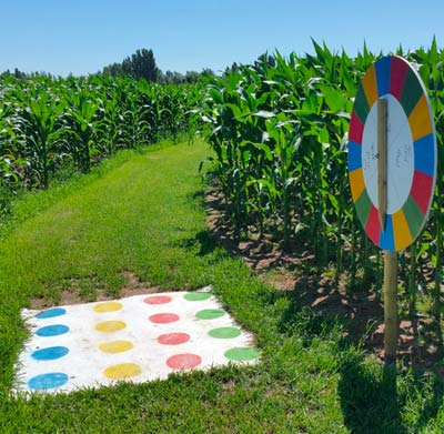 Labyrinthe en délire