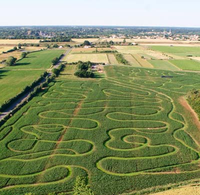 Labyrinthe de maïs