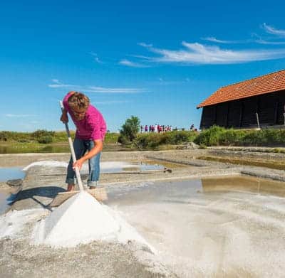 Marais salants de la vie