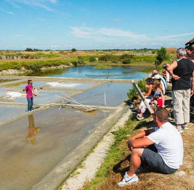 Marais salants St Hilaire de Riez