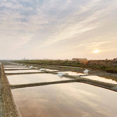 Les Marais salants