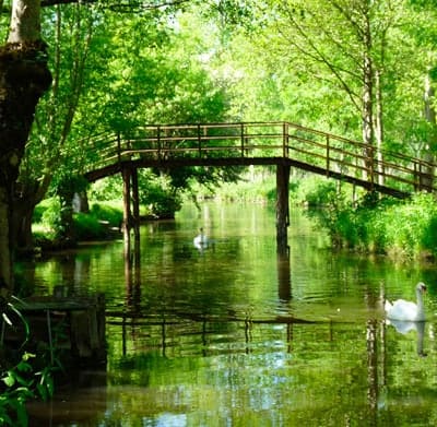 Pont dans le marais poitevin