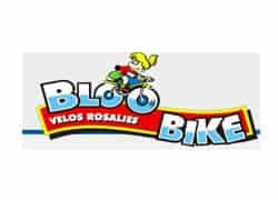 Bloo Bike